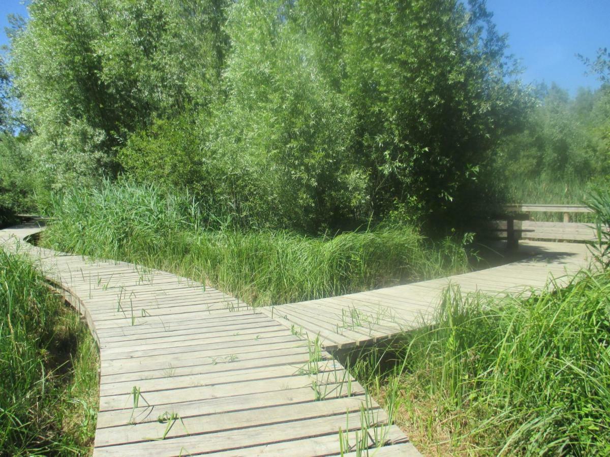 Bed and Breakfast Couleurs Loire Molineuf Екстер'єр фото